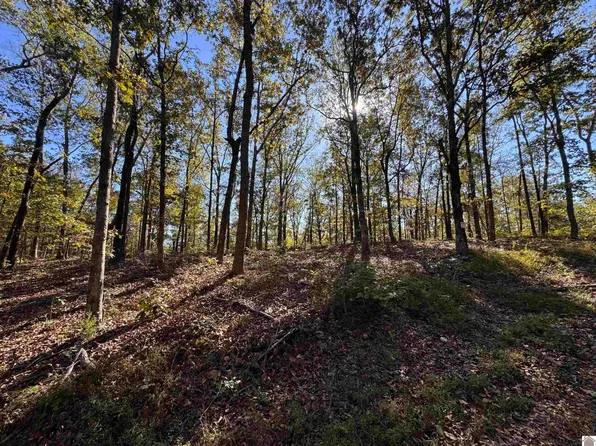 0 Ridge Rd, New Concord, KY 42076