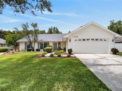 15118 NATUREWALK DRIVE, Tampa, FL, 33624