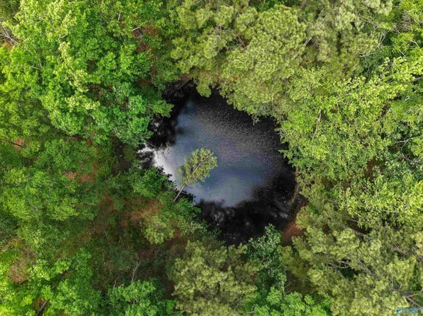 25471 Mooresville Rd, Elkmont, AL 35620