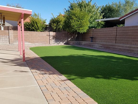 Back yard