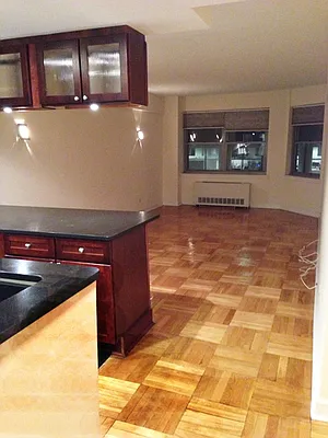 Rented by Manhattan Residential Group | media 19