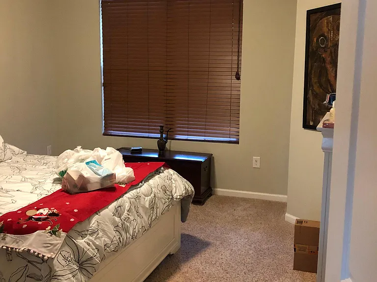 316 Durants Neck Ln — Photo 24