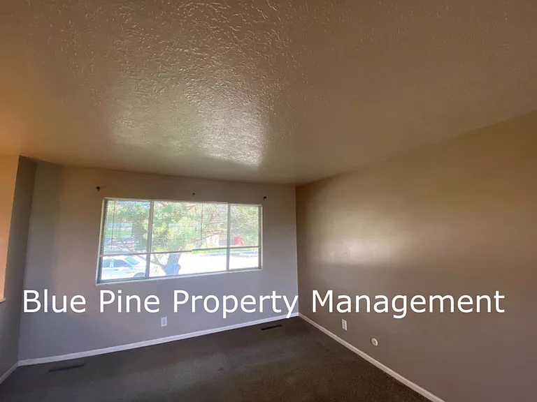 2215 Sykes Dr — Photo 4