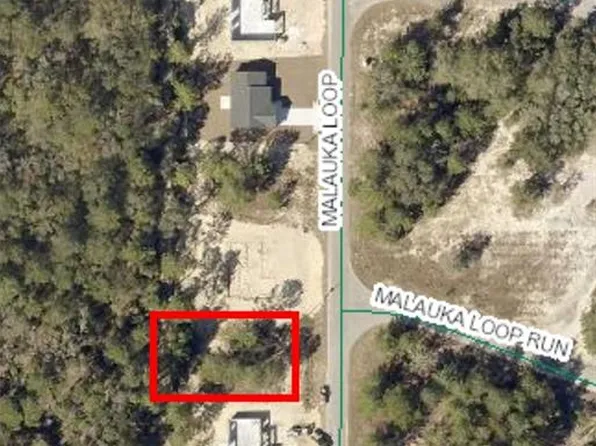 3 Malauka Trl Lot 3, Ocklawaha, FL 32179
