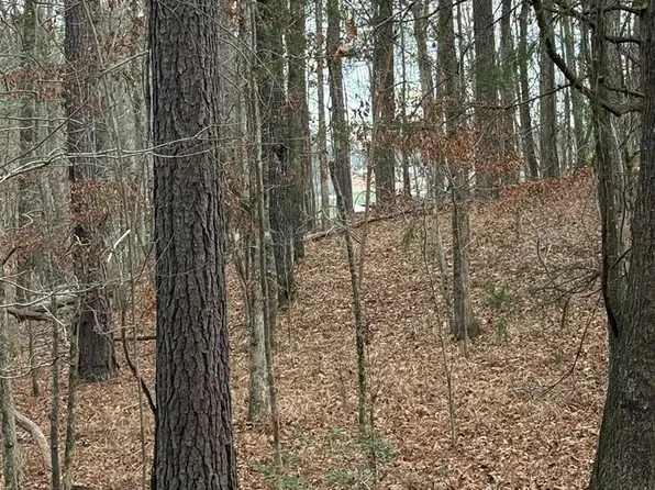LOT 418 Poinsettia Pl N, Sparta, GA 31087