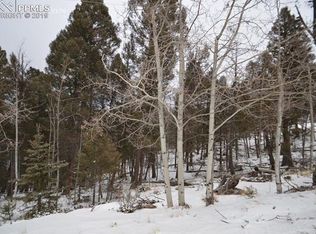 960 Spring Valley Ln, Florissant, CO 80816