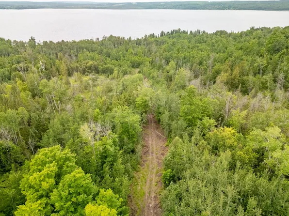 Emils Landing Rd, Hillman, MI 49746
