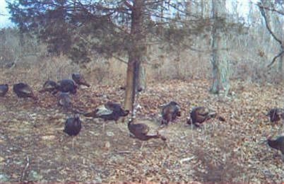 4th image of 6497 W Farm Road 54