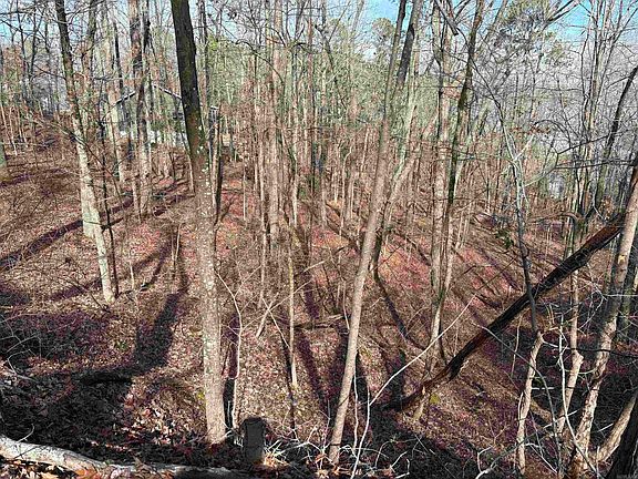 2nd image of (Undisclosed Address)