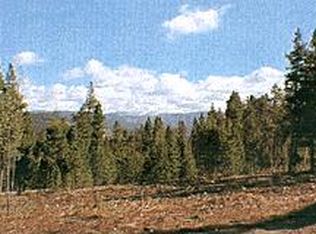 339 Fair Way, Winter Park, CO 80482