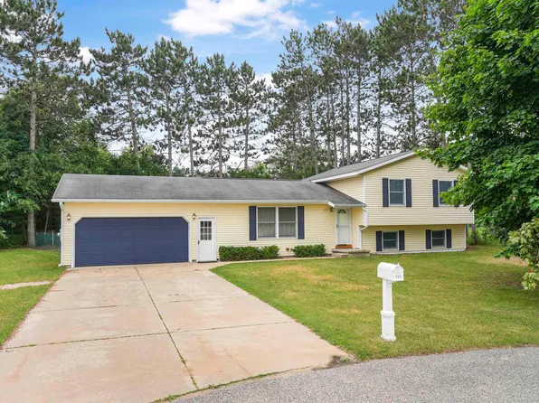725 Kim Dr, Cadillac, MI 49601