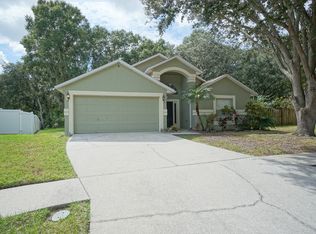 10909 Brucehaven Dr, Riverview, FL 33578