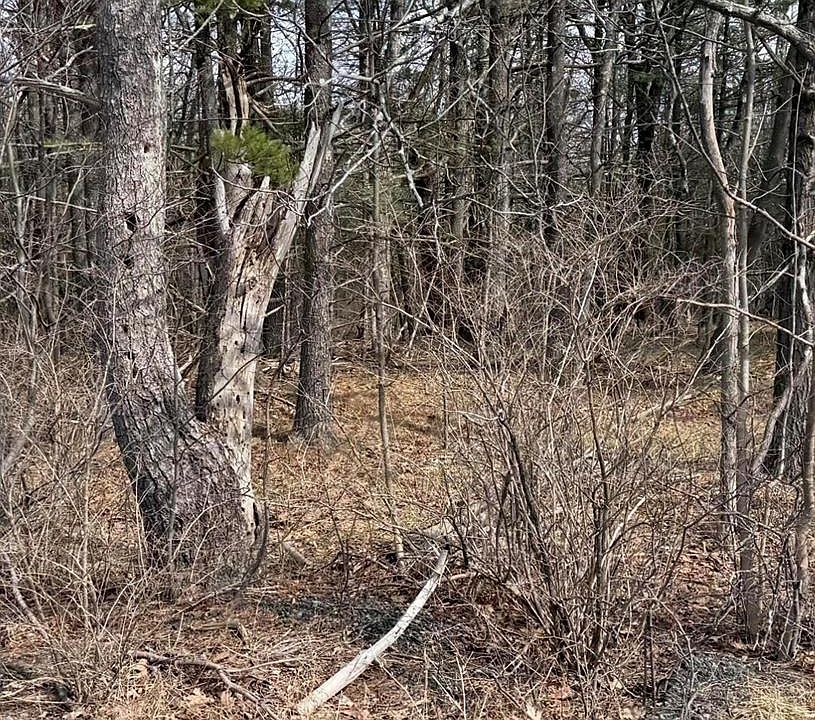 1st image of County Route 312