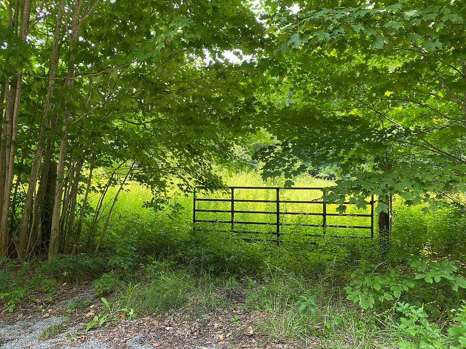 2nd image of Big Spring