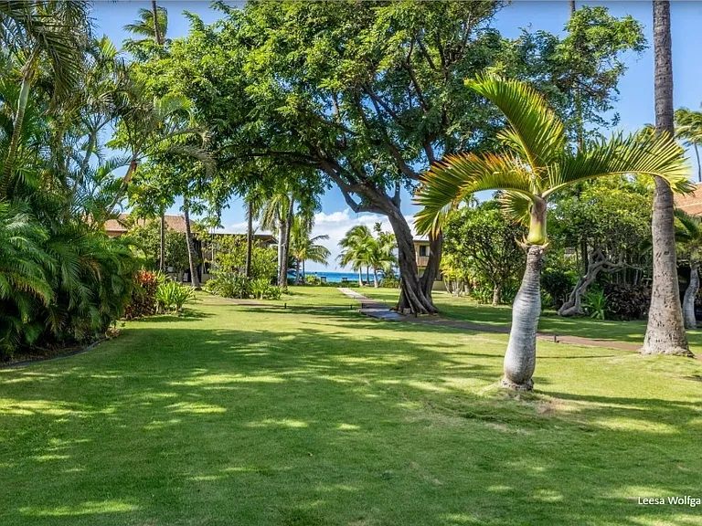 3559 Lower Honoapiilani Rd — Photo 28