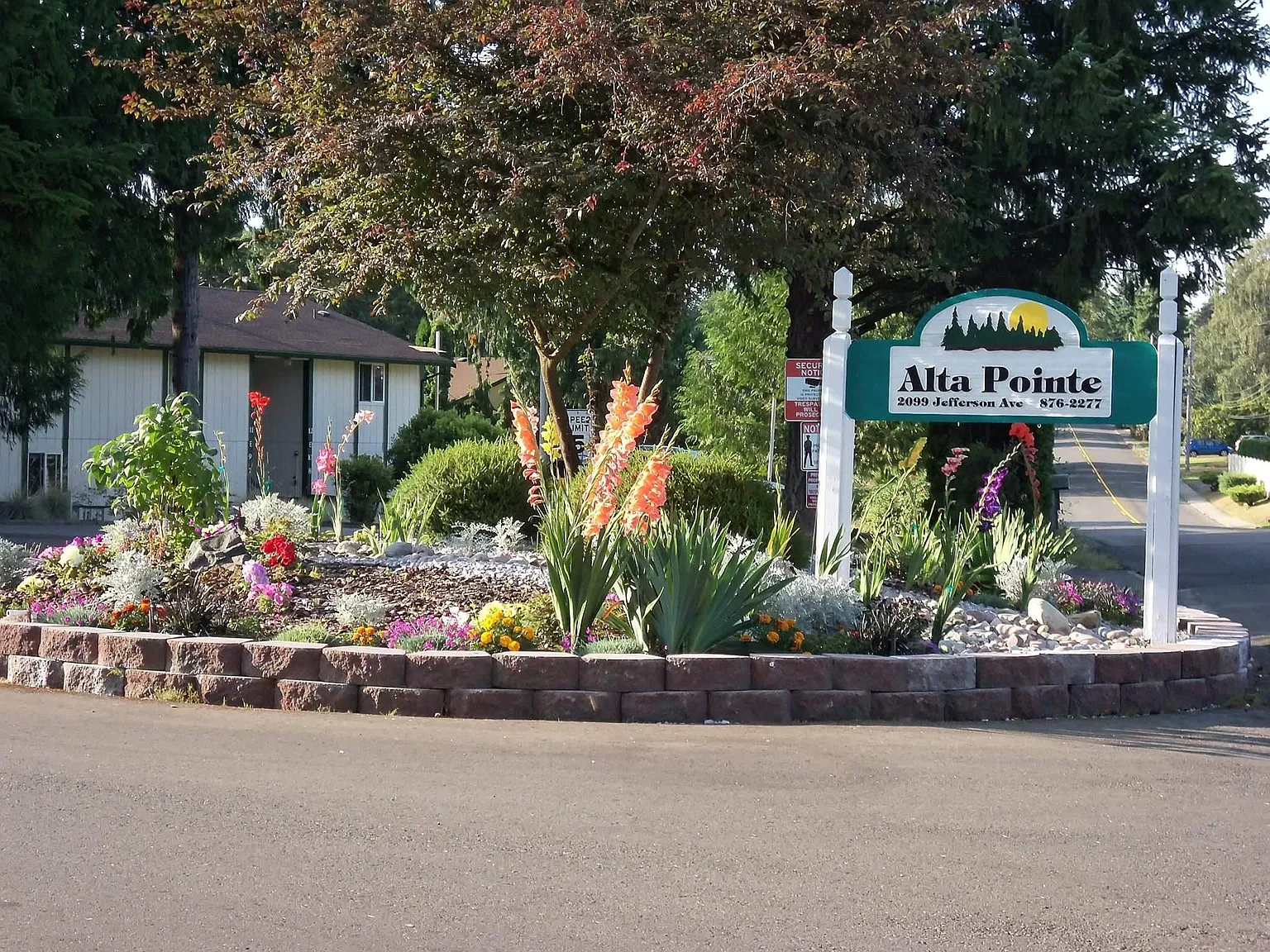 Alta Pointe — Photo 1