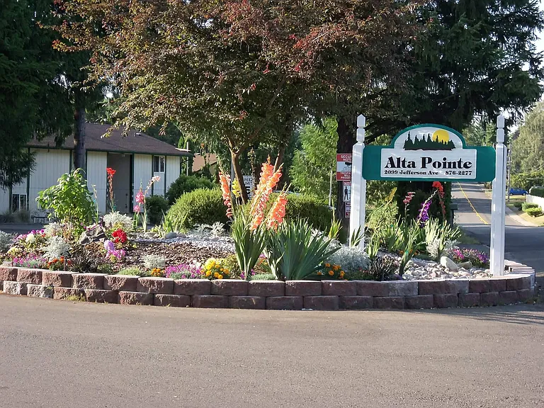 Alta Pointe — Photo 1