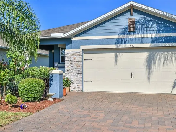 236 Caryota Ct, New Smyrna Beach, FL 32168