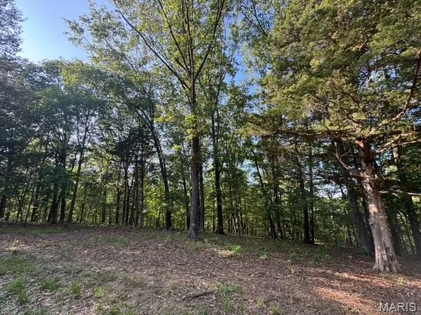 110 Steeple Point Dr Lot 14, Defiance, MO 63341