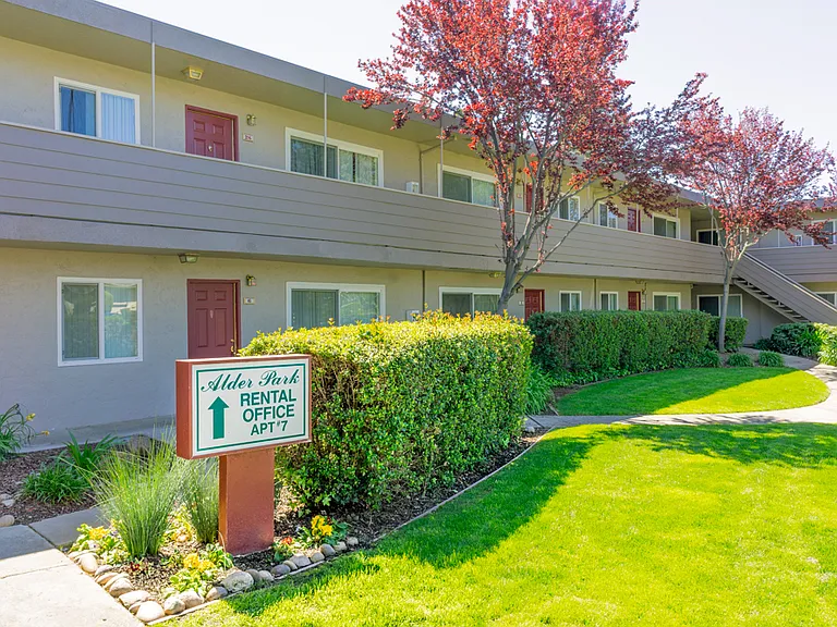 Alder Park Apartments — Photo 3