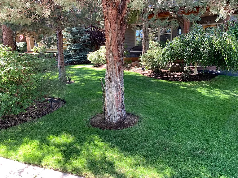 837 Yosemite Dr — Photo 65