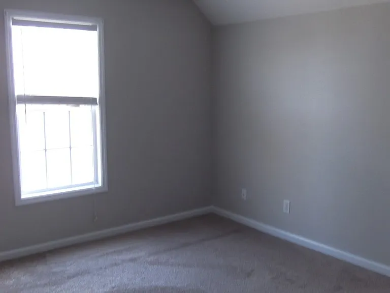 2937 Piney Mountain Dr — Photo 29