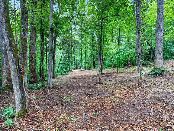5th image of 229 W Chapman Rd Lot 4