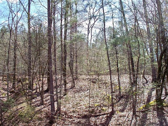 4th image of 1290 Northwoods Dr #133