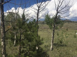 2360 Breton Cir, Como, CO 80432