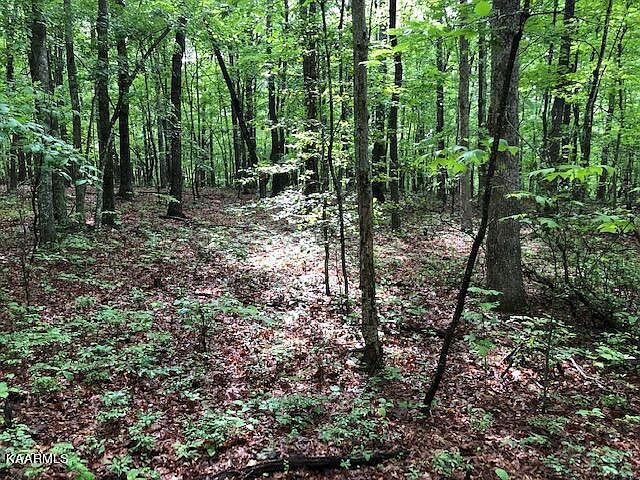 1st image of Cowpens Dr