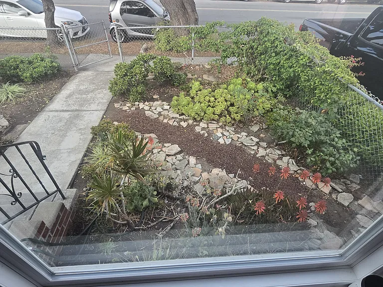 Well maintained front yard.