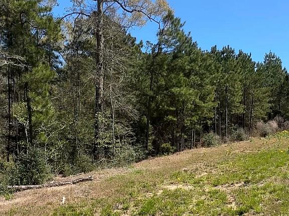 3rd image of 16283 Ridge Oak Rd