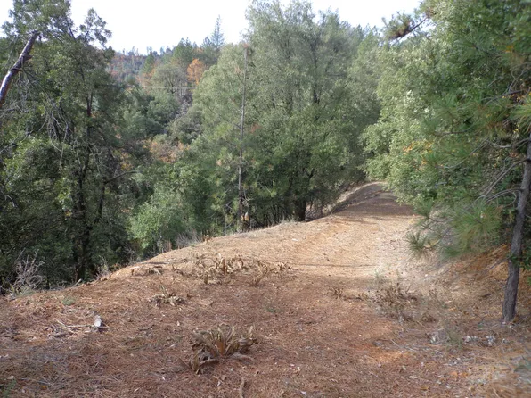 Tawny Way, Lakehead, CA 96051