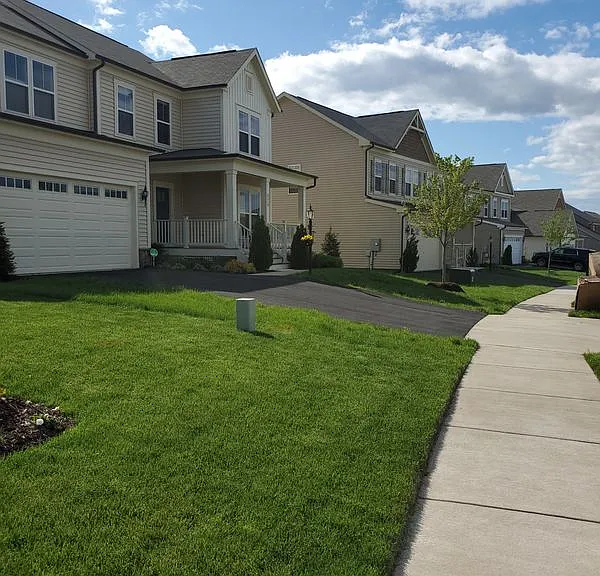 8184 Skystone Loop — Photo 18