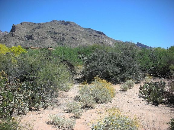 4th image of 1792 E Sahuaro Blossom Pl