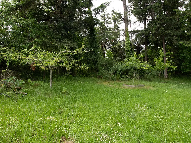 Fruit Trees