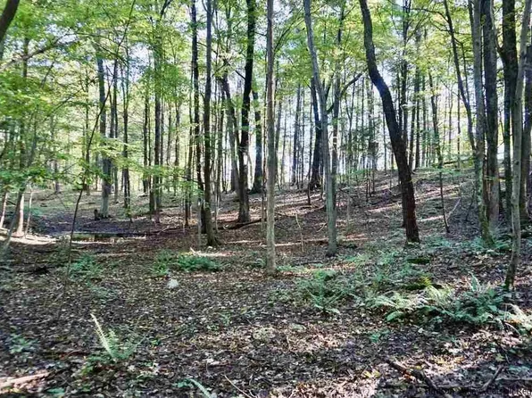 4 Arrowhead Ridge, Saugerties, NY 12477