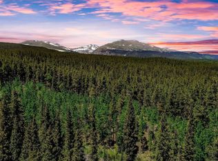 4100 County Road 1, Fairplay, CO 80440