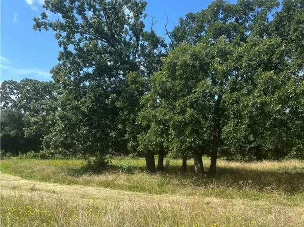TRACT 3 4th Hwy #83, Howe, OK 74940