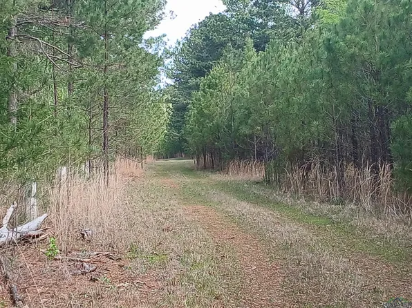 540 County Road 3225, Jefferson, TX 75657
