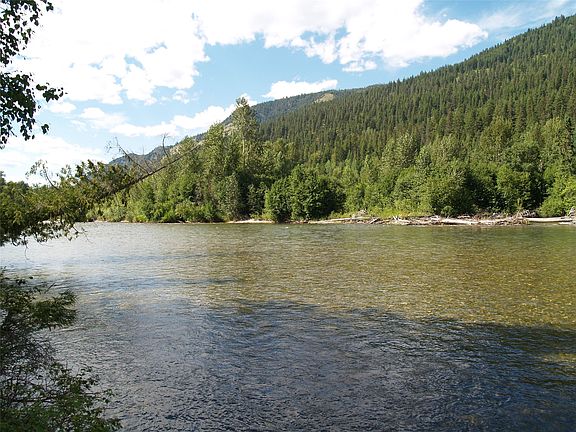 3rd image of River Stone Rd