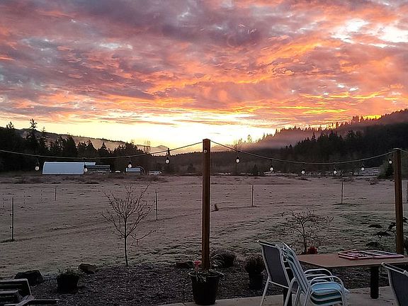 Backyard Sunrise
