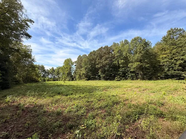 P 3 & 5 Tater House Rd, Hollow Rock, TN 38342