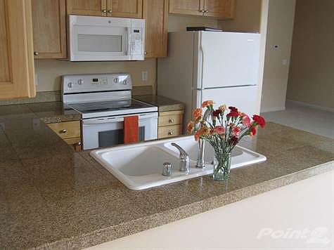 Newer Appliances