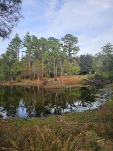 134 B Lowe Ln, Lumberton, MS, 39455