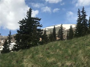 55 Lazy Rex Rd, Alma, CO 80420