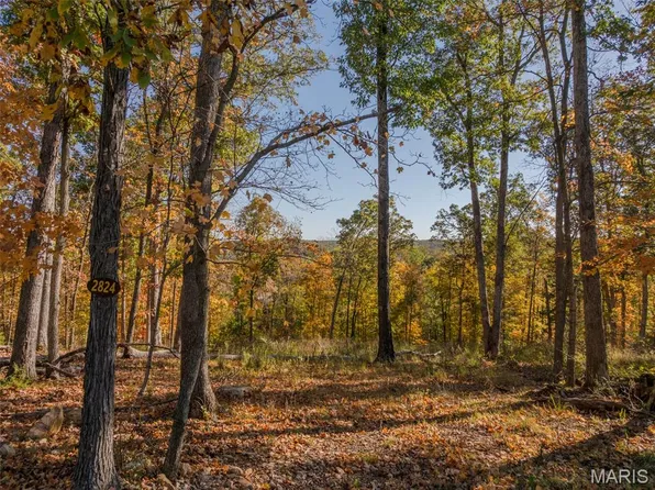 2824 Morgan Lake Dr, Innsbrook, MO 63390