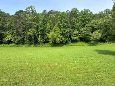 LOT 46 Prosperity Dr, Warne, NC, 28909