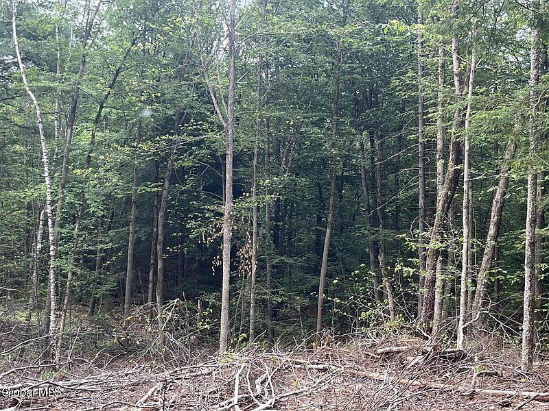4th image of 162 Crandall Road