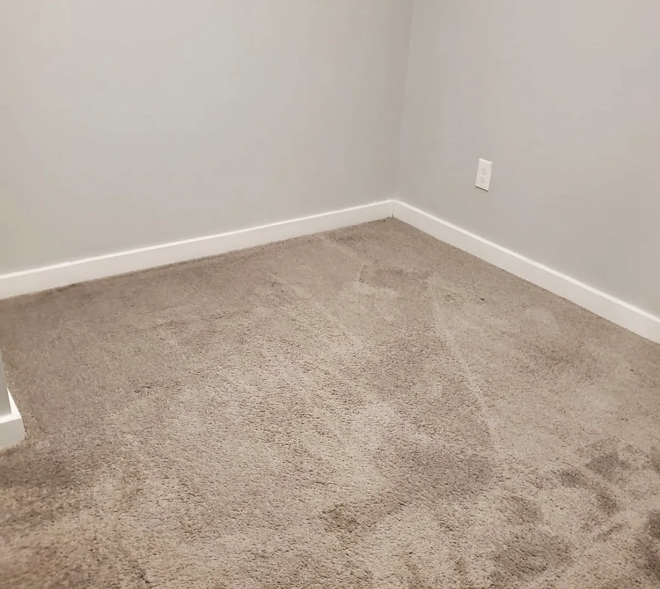 2 bed, 450 sqft, $1,450 — Photo 4